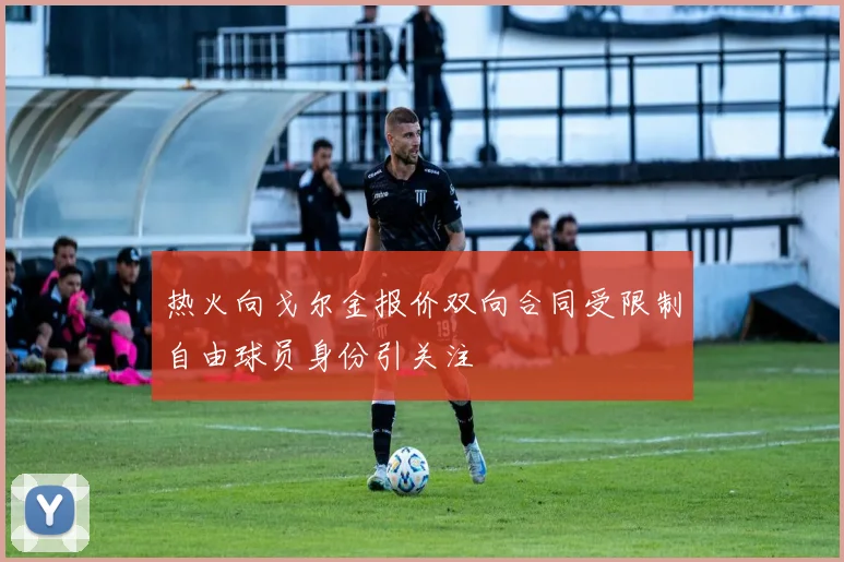 热火向戈尔金报价双向合同受限制自由球员身份引关注