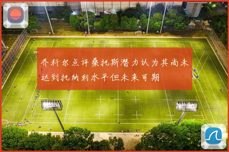 乔科尔点评桑托斯潜力认为其尚未达到托纳利水平但未来可期